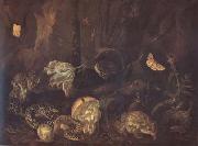 SCHRIECK, Otto Marseus van Still Life with Insects and Amphibians (mk14) china oil painting reproduction